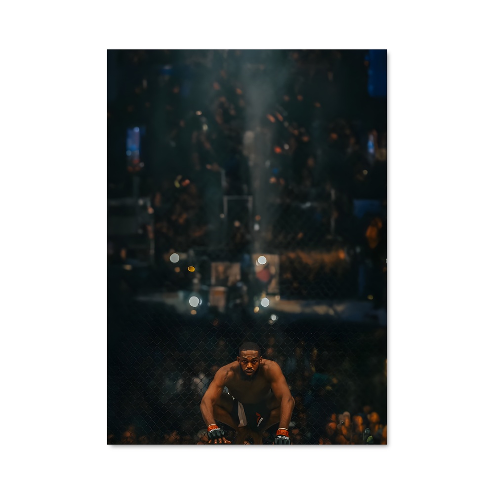 Poster L'Ascension de Jon – affiche MMA